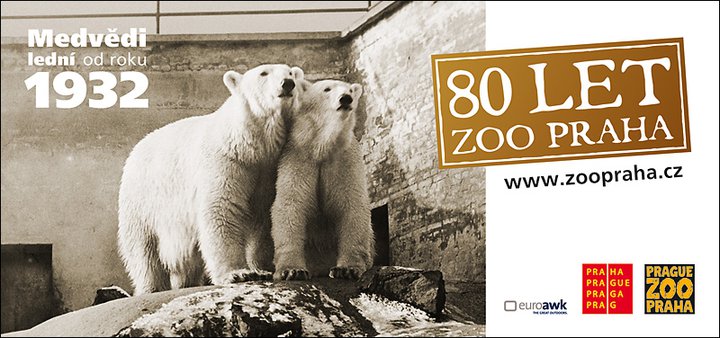 Medvědi od roku 1932